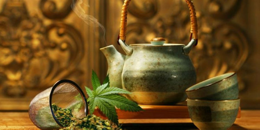 GUEST COLUMNIST: Traditional medicine beyond myths
