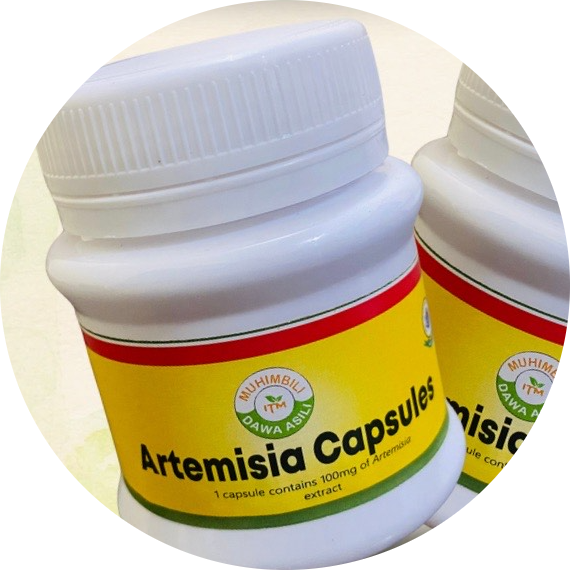 Artmesia Capsules